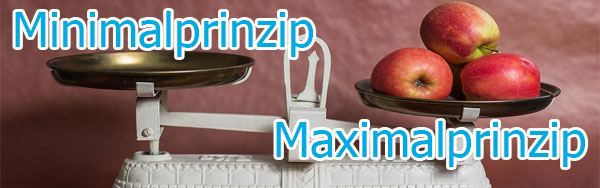 Minimalprinzip und Maximalprinzip Erklärung + Beispiele