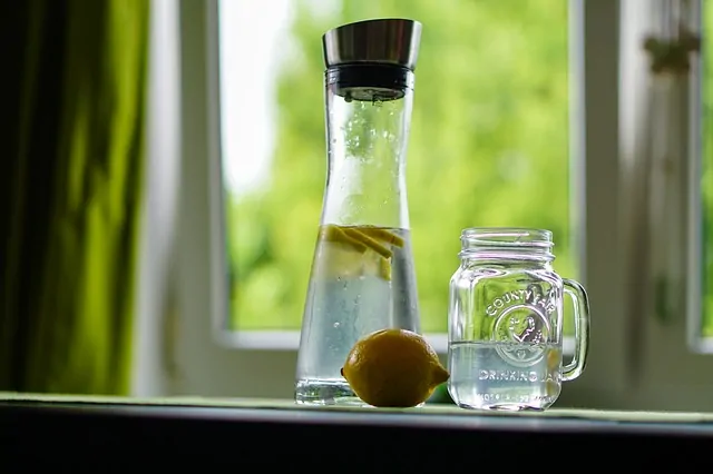 Wassersprudler für die Studentenbude: Vor- und Nachteile