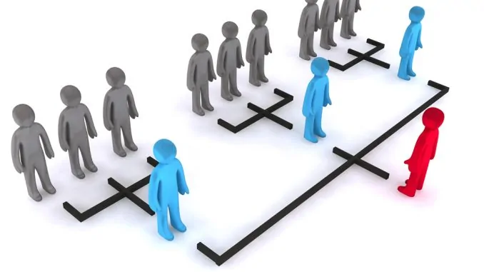 Spartenorganisation: Definition, Beispiel, Vor- und Nachteile Männchen in einer Hierarchie