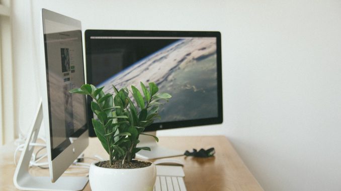 Zwei Macintosh Computer stehen auf einem Tisch. Im Vordergrund ist eine kleine Pflanze zu sehen.
