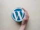 Wordpress Logo wird von Hand festgehalten